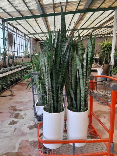 عکس گلخانه پیام