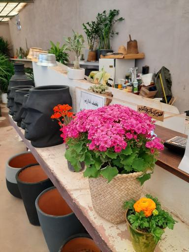 عکس گلخانه پیام