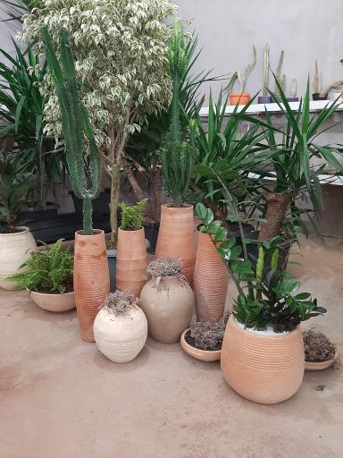 عکس گلخانه پیام