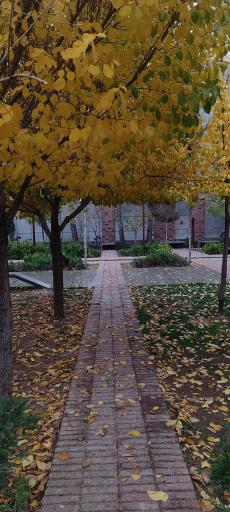 عکس بوستان سه کنج