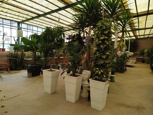 عکس گلخانه پیام