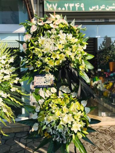 عکس قصر گل ولیعصر