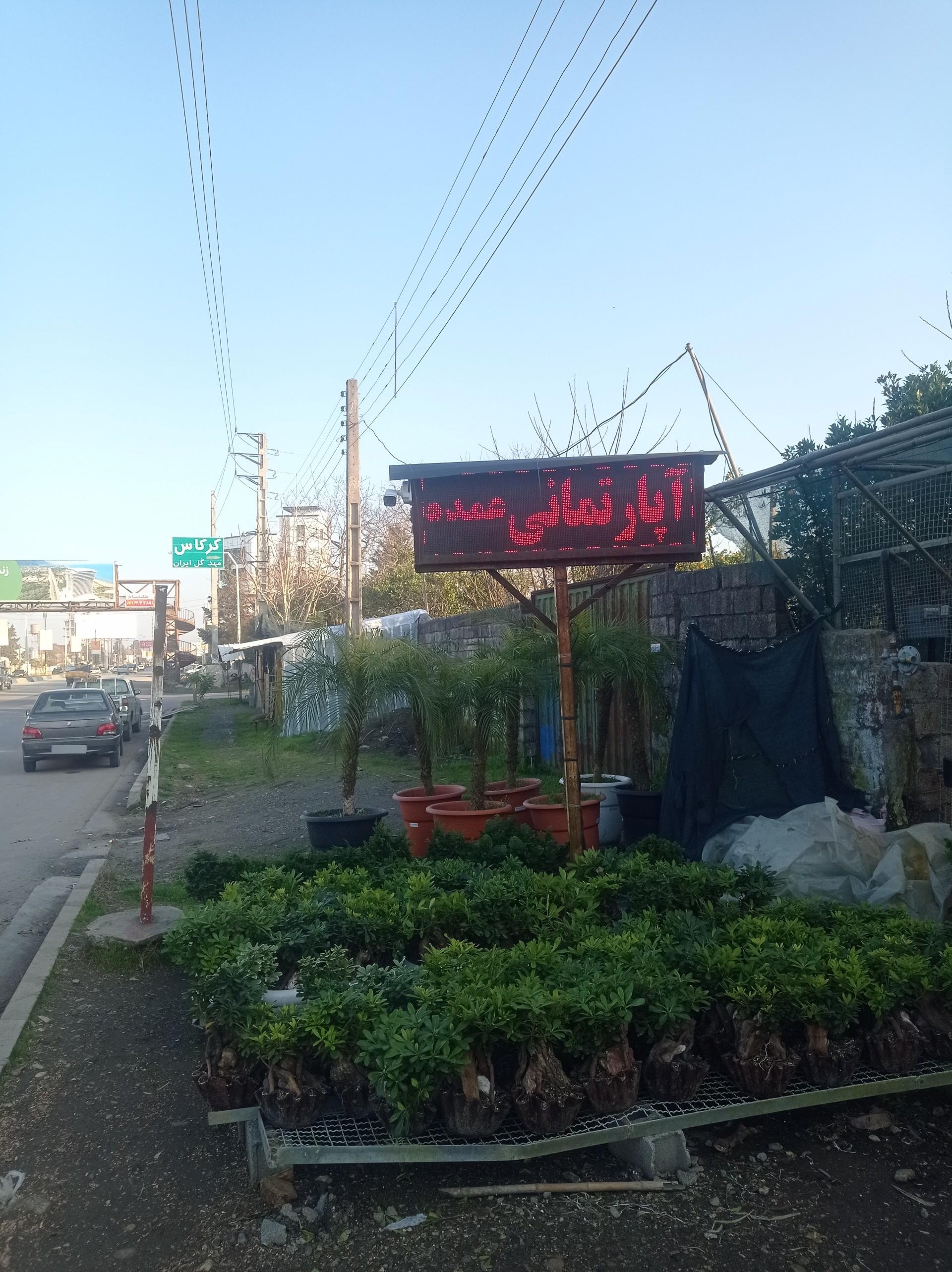 عکس گلکده علیزاده
