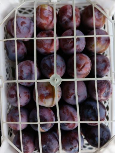 عکس خدمات پست مجید شعبه جشنواره