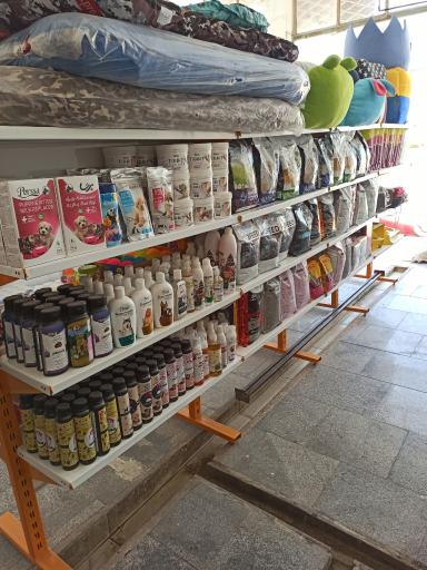 عکس کلینیک دامپزشکی ایران 