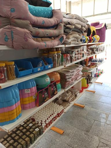 عکس کلینیک دامپزشکی ایران 