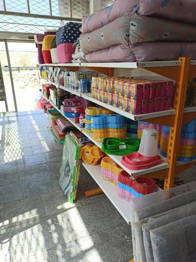 عکس کلینیک دامپزشکی ایران 