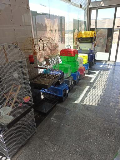 عکس کلینیک دامپزشکی ایران 