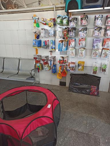 عکس کلینیک دامپزشکی ایران 