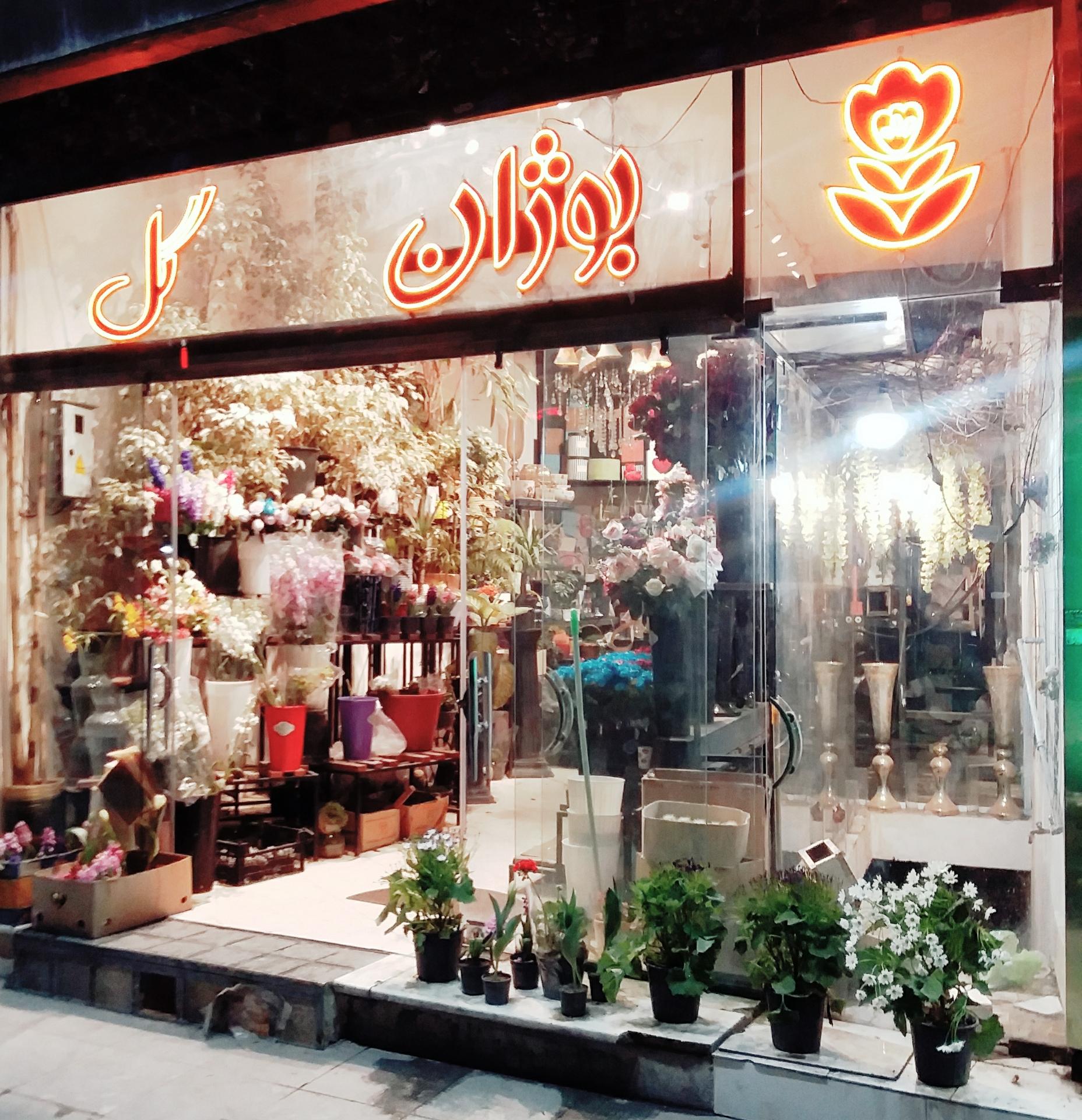 عکس بوژان گل