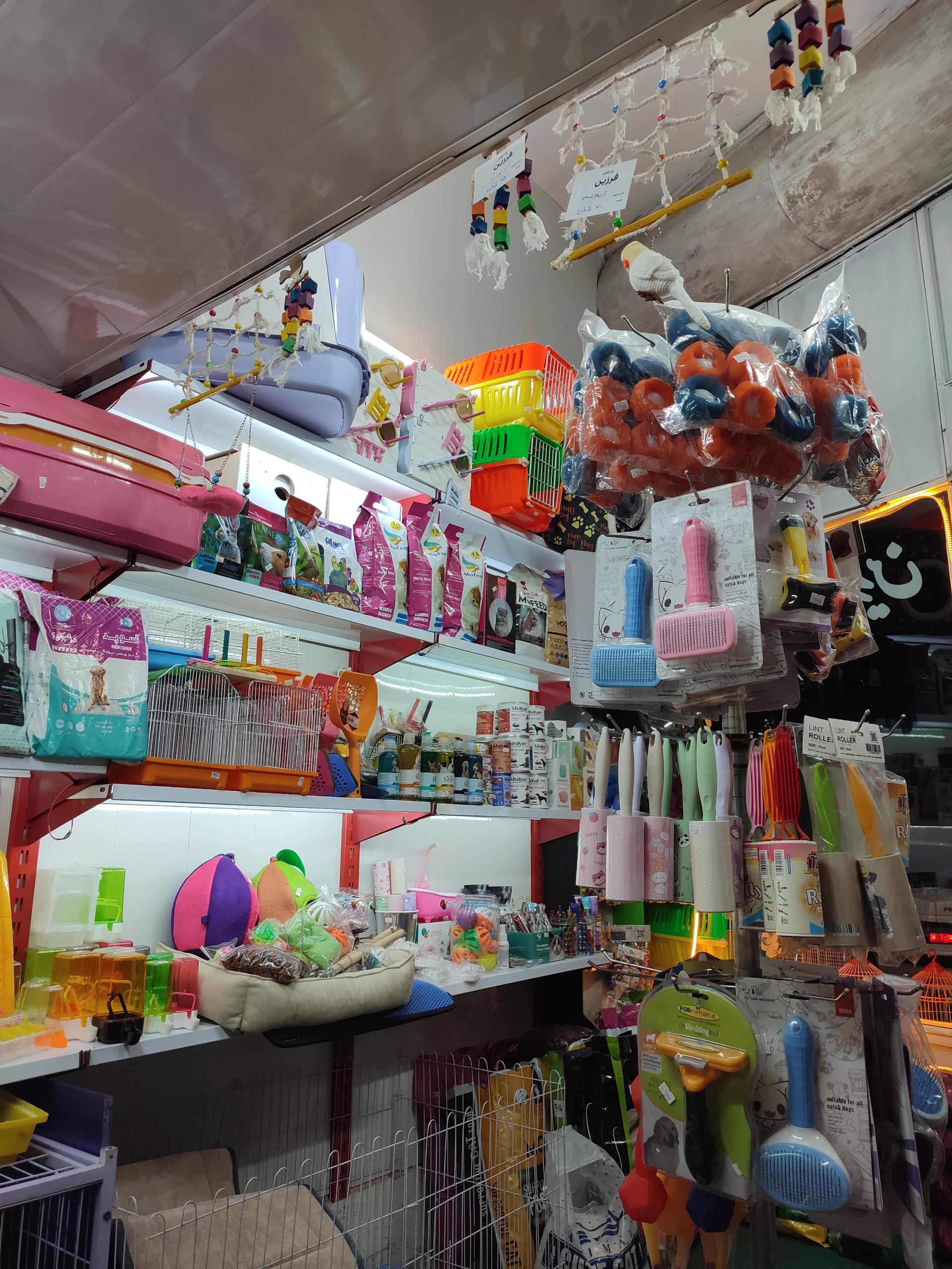 عکس پت شاپ فرزین