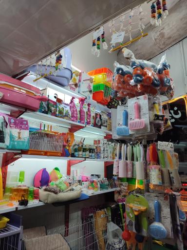 عکس پت شاپ فرزین