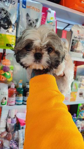 پت شاپ فرزین