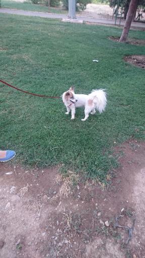 عکس پارک نگینستان