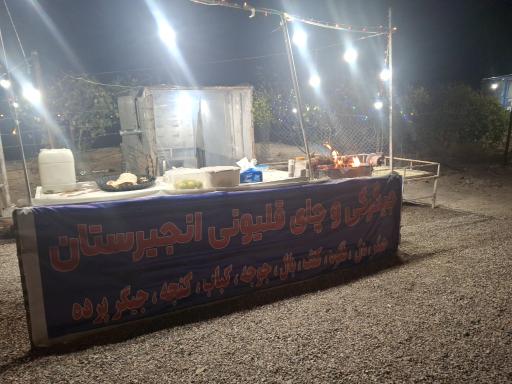 عکس جگر پرده انجیرستان