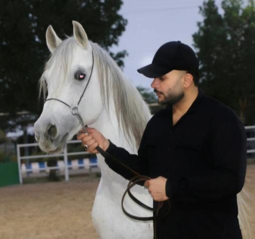 عکس باشگاه سوارکاری نفت