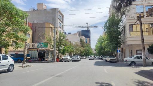 عکس میوه سرا سید ارزان فروش