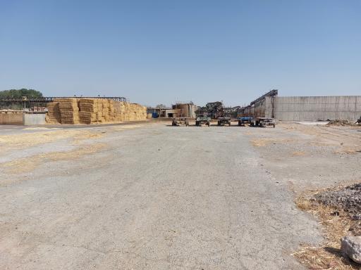 عکس کارخانه قارچ ملارد