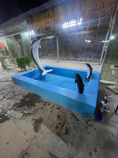 عکس سرای سنتی باغ افشار