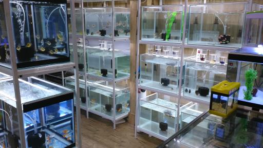 عکس آکواریوم اطلس