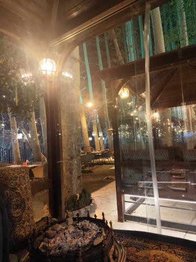 عکس رستوران کافه ارکیده