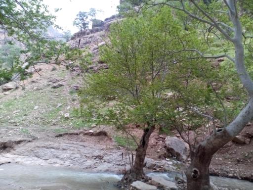 عکس ژئو پارک ملی شیرز