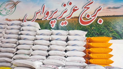 عکس برنج عزیز پرواس