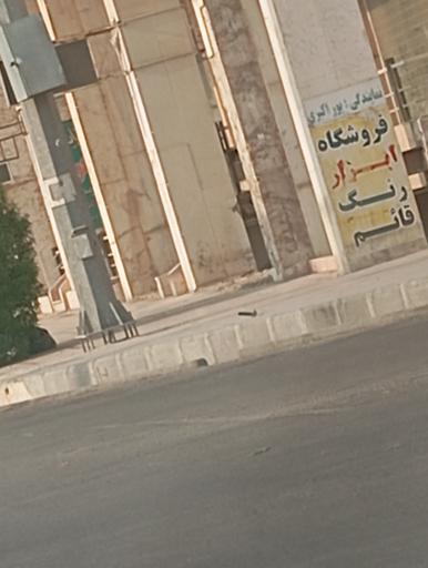 عکس فروشگاه رنگ و ابزار قائم