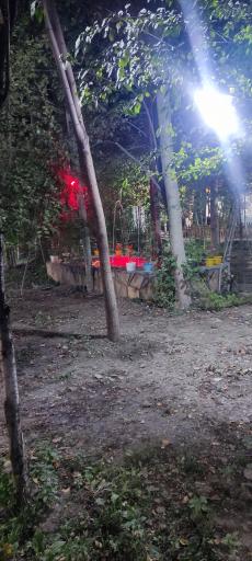 عکس رستوران باغ آرام 