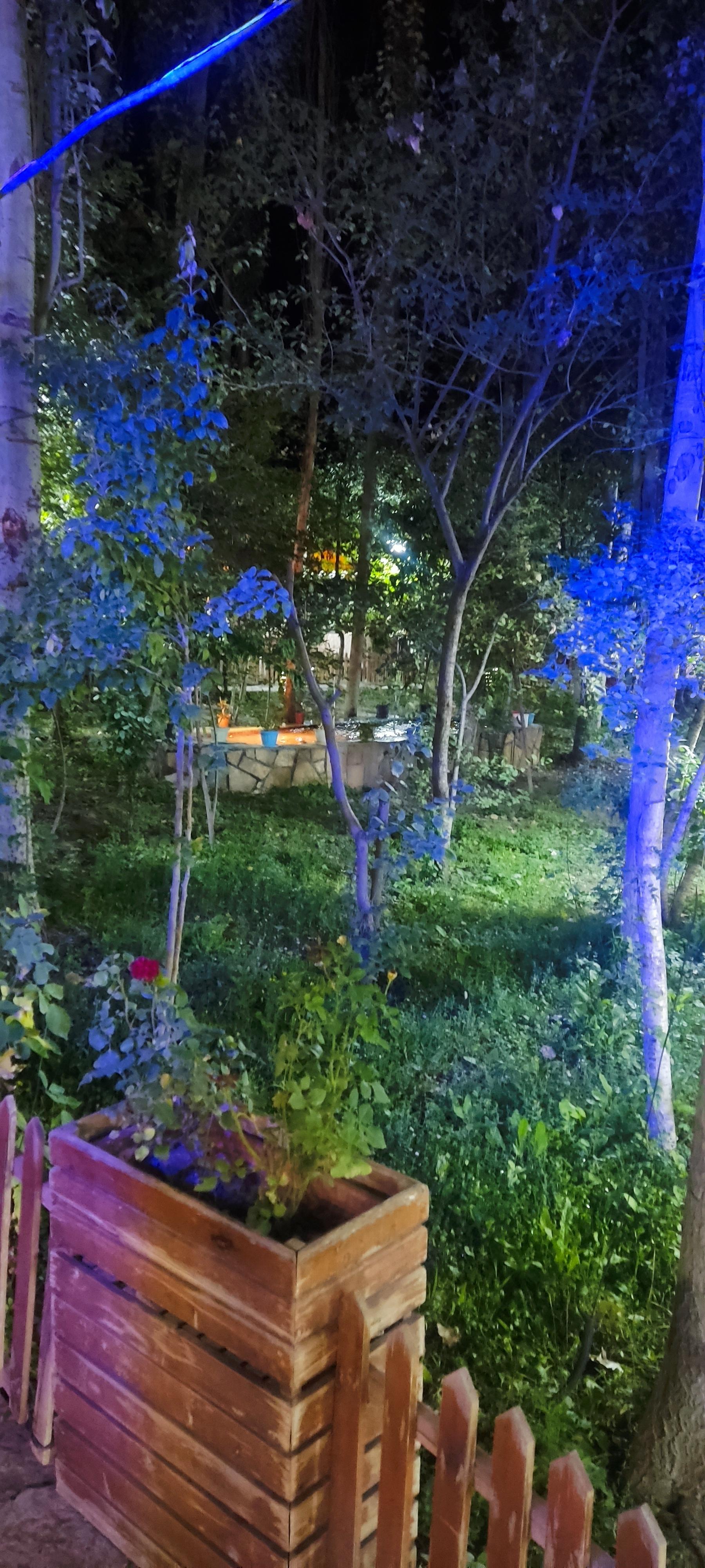 عکس رستوران باغ آرام 