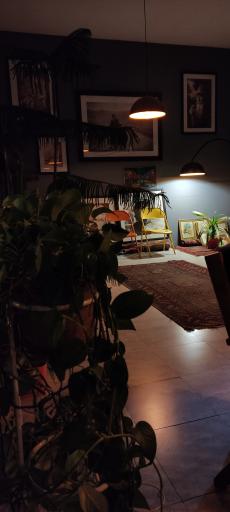 عکس کافه اوپانیشات