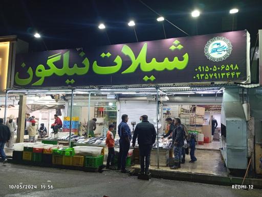 شیلات نیلگون 