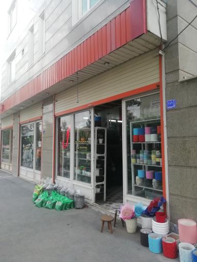 گل فروشی موسوی