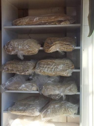 عکس نانوایی شیریان