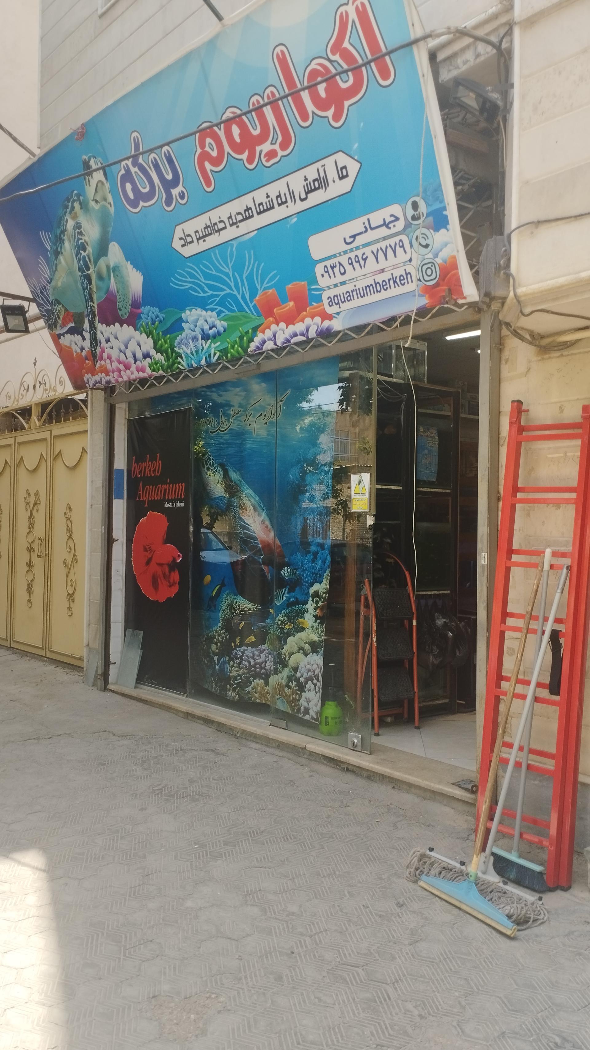 عکس آکواریوم برکه