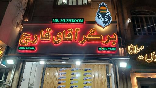 عکس برگر آقای قارچ