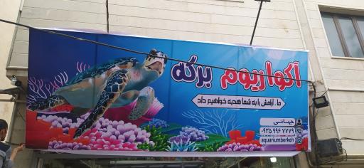 عکس آکواریوم برکه