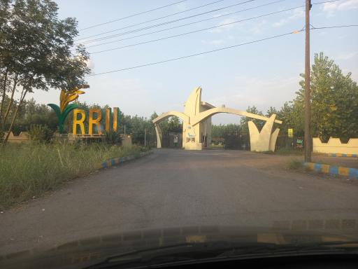 موسسه تحقیقات برنج کشور