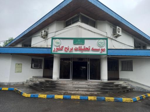 موسسه تحقیقات برنج کشور