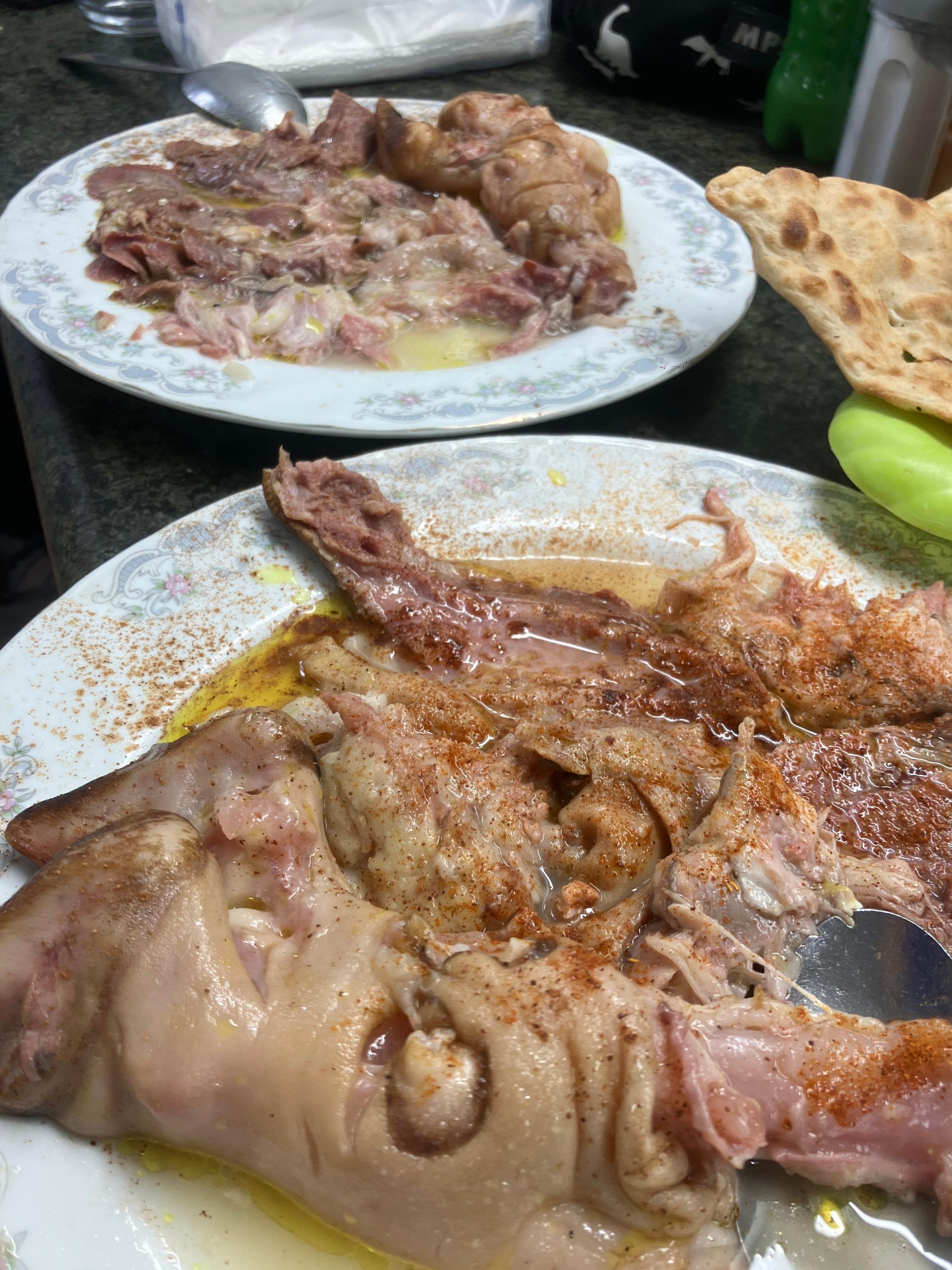 عکس طباخی علی 110