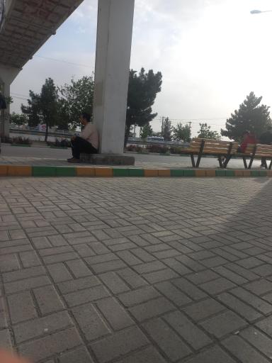 عکس  شهد ایران