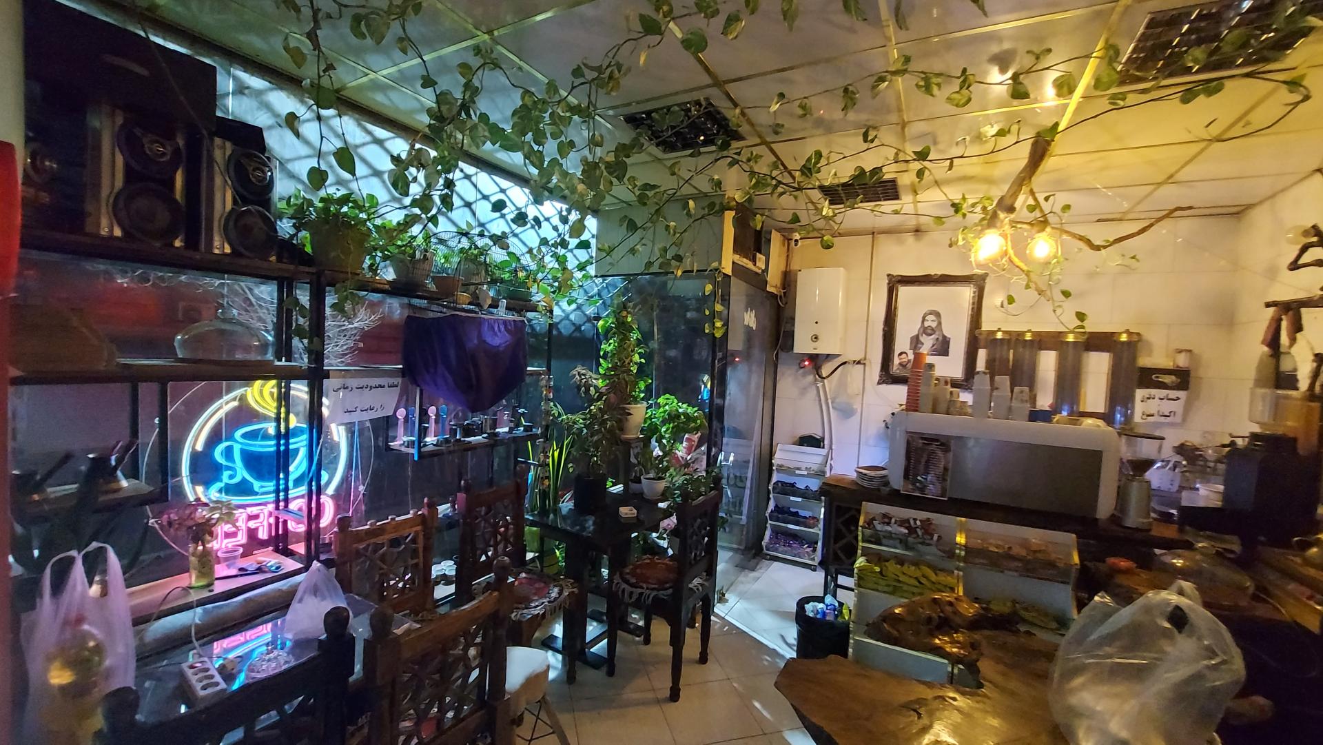 عکس کافه ایلیا