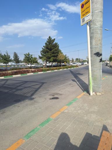 عکس  شهد ایران