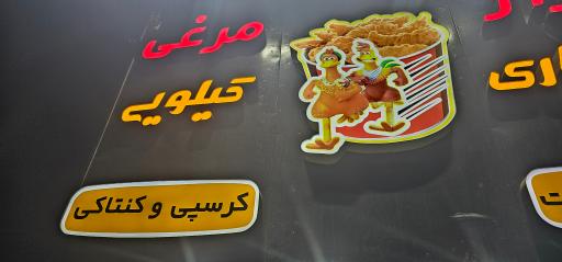 عکس محصولات سوخاری فرار مرغی