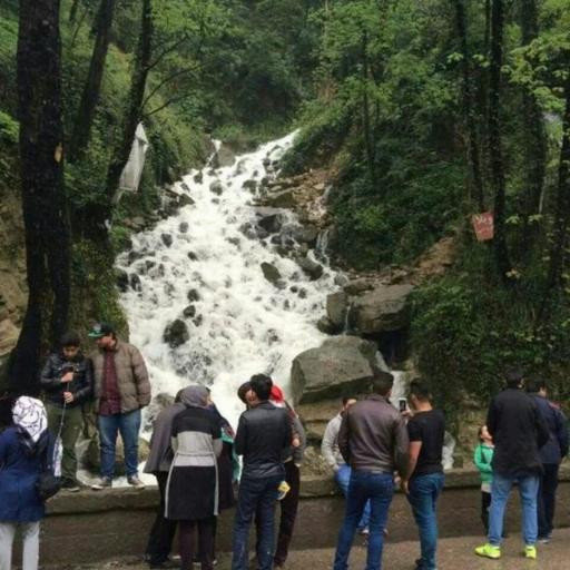 عکس کلبه جنگلی تیک تاک