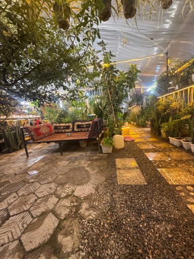 عکس کافه کاریز