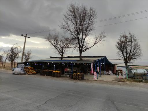 عکس میوه فروشی صیادی 