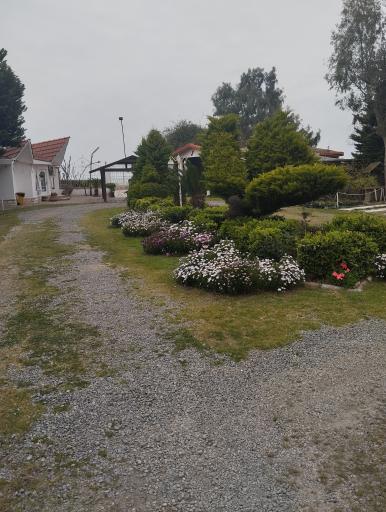 عکس متل درنای سفید