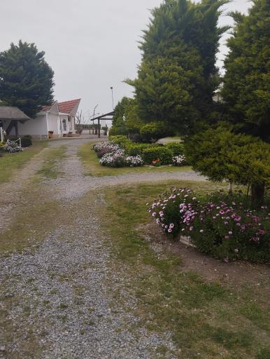 عکس متل درنای سفید