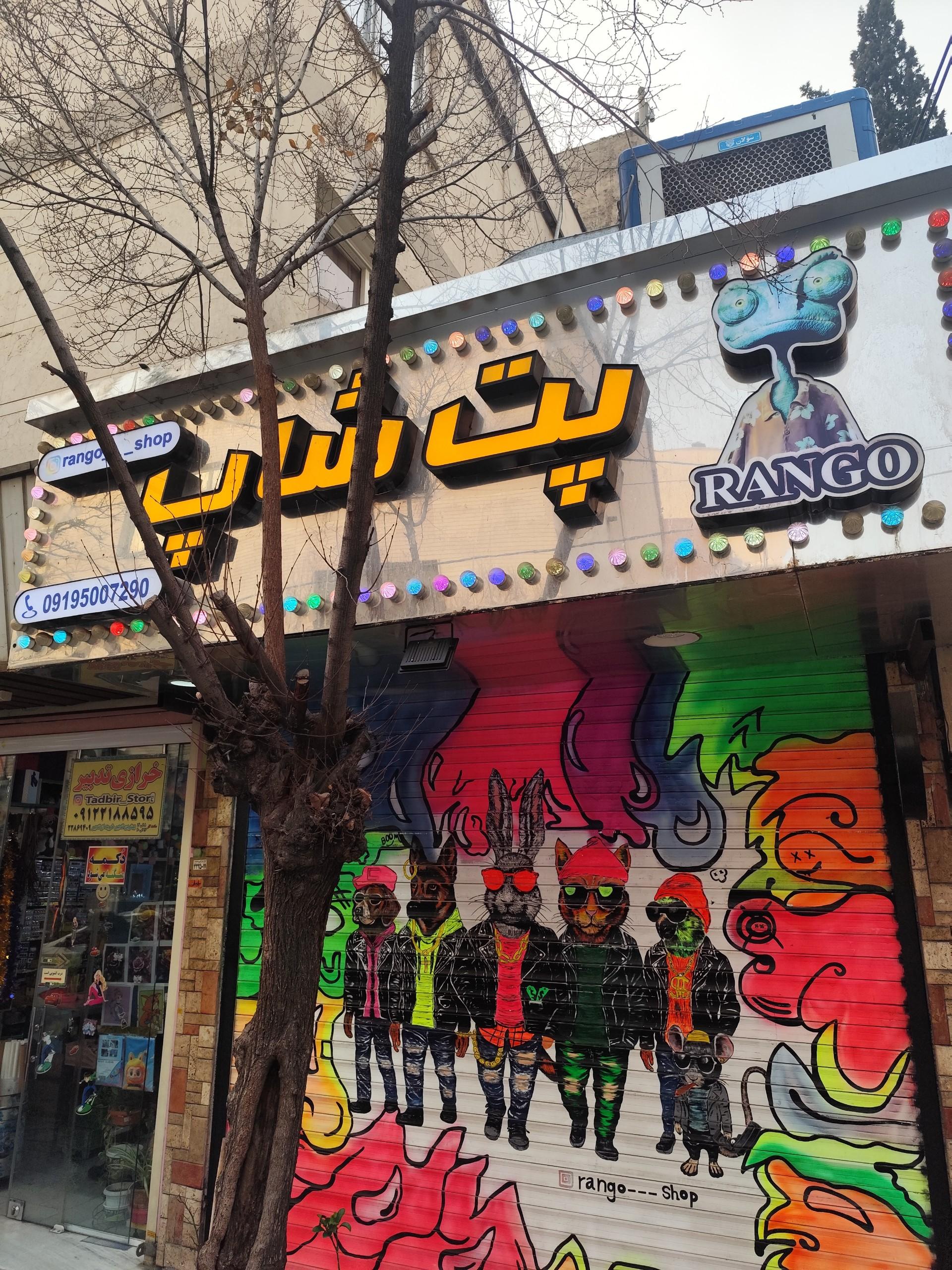 عکس پت شاپ رنگو